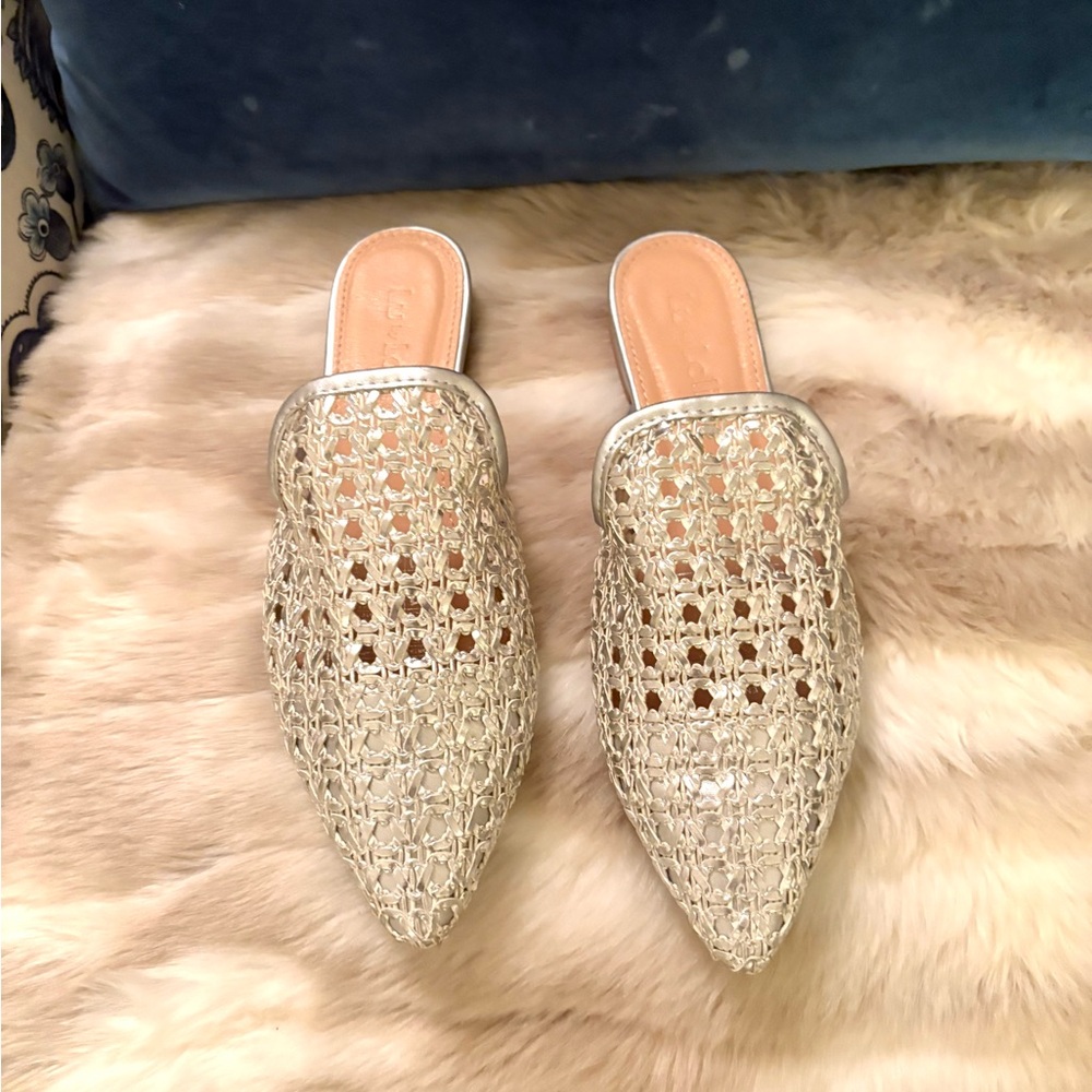 Lolita Silver Mesh Women's Mules